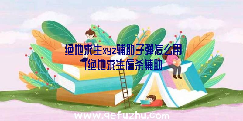 「绝地求生xyz辅助子弹怎么用」|绝地求生虐杀辅助